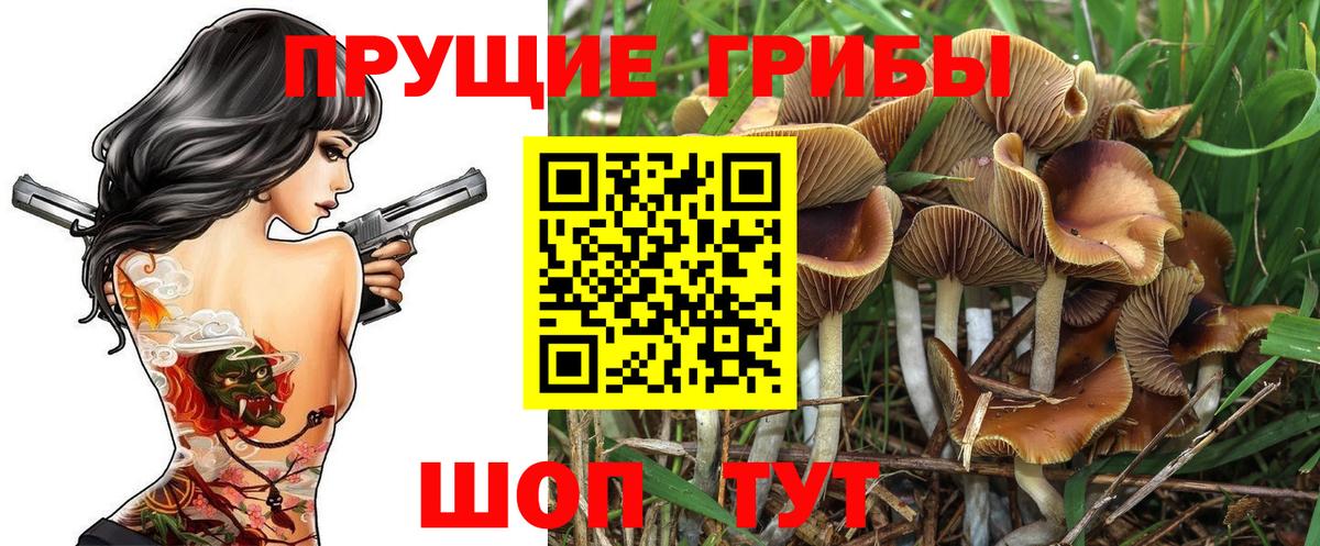 Галлюциногенные грибы Magic Shrooms Чапаевск